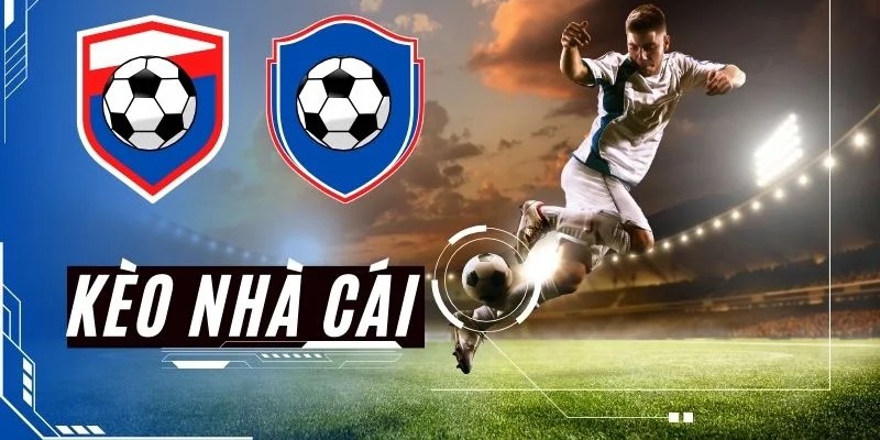 Cập nhật thông tin giới thiệu chung về kèo nhà cái 8XBET