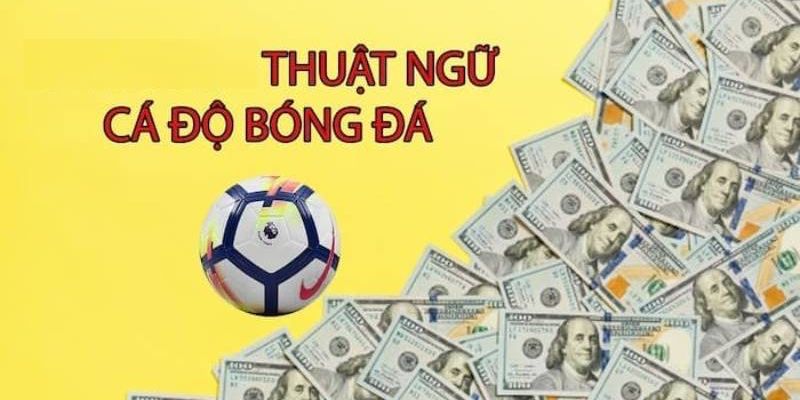 Thuật ngữ cá độ bóng đá kèo trên dưới